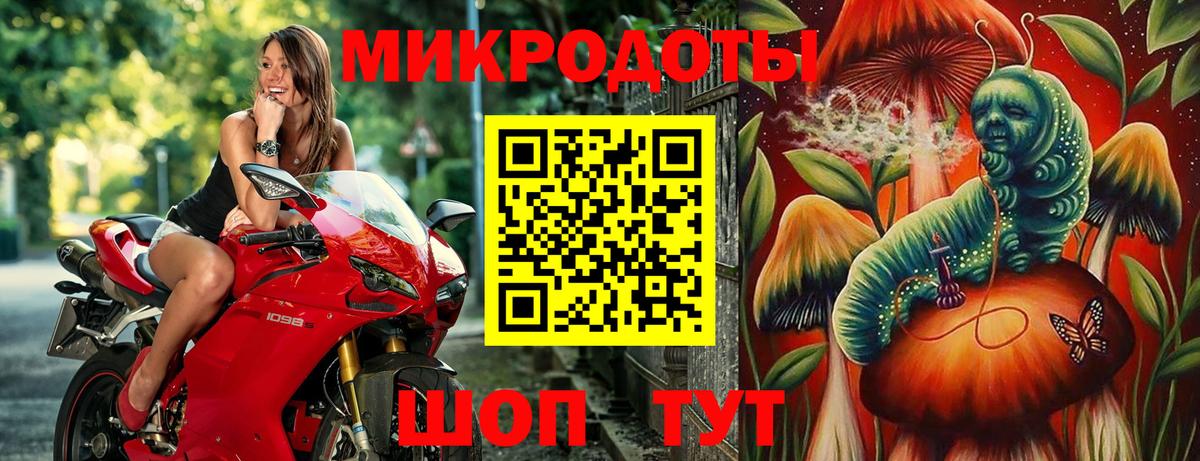 Сланцы  Псилоцибиновые грибы мухоморы  Вход с VPN  Галлюциногенные грибы Cubensis 