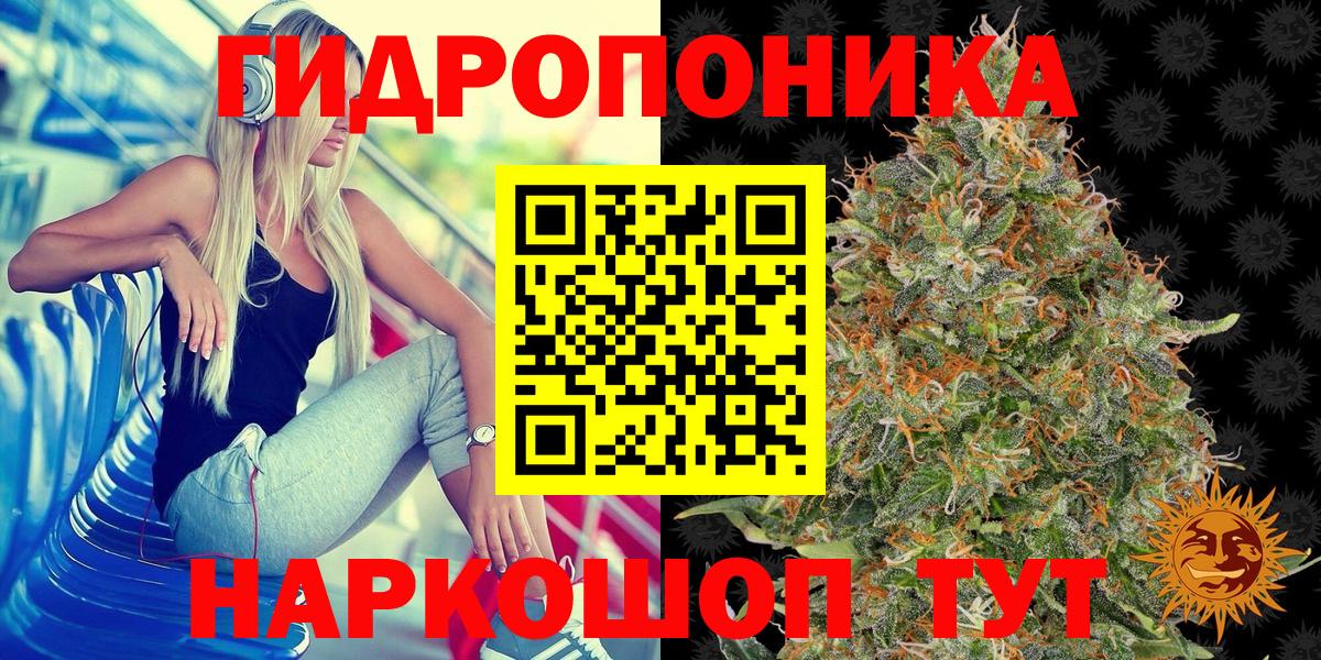 Конопля VHQ Сланцы